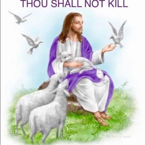 ST FRANCIS TAG MEDAL WITH STERLING NECKLACE & CARDS PET CHARITY - Picture 15 of 15